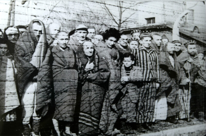 “Auschwitz – Countdown zur Befreiung” am 22.01.2026 im NTV
