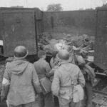 "Zug ins Leben - Die Befreiung der SS-Geiseln" am 05.05.2026 im MDR