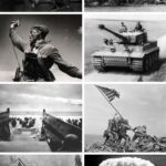 "Der zweite Weltkrieg - Globale Fronten" am 14.05.2026 im NTV