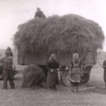 "Pflügen, ackern, kämpfen: Die Geschichte der Bauern" am 01.09.2026 im ARTE