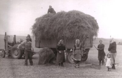 "Pfl&uuml;gen, ackern, k&auml;mpfen: Die Geschichte der Bauern" am 01.09.2026 im ARTE