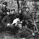 "Apokalypse Hitler" am 05.11.2026 im NTV