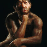 "Thorin - Der letzte Neandertaler" am 10.10.2026 im ARTE